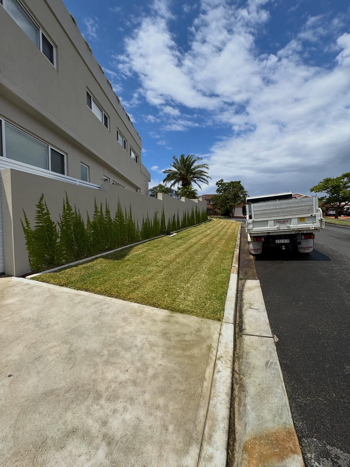 Professional lawn striping
