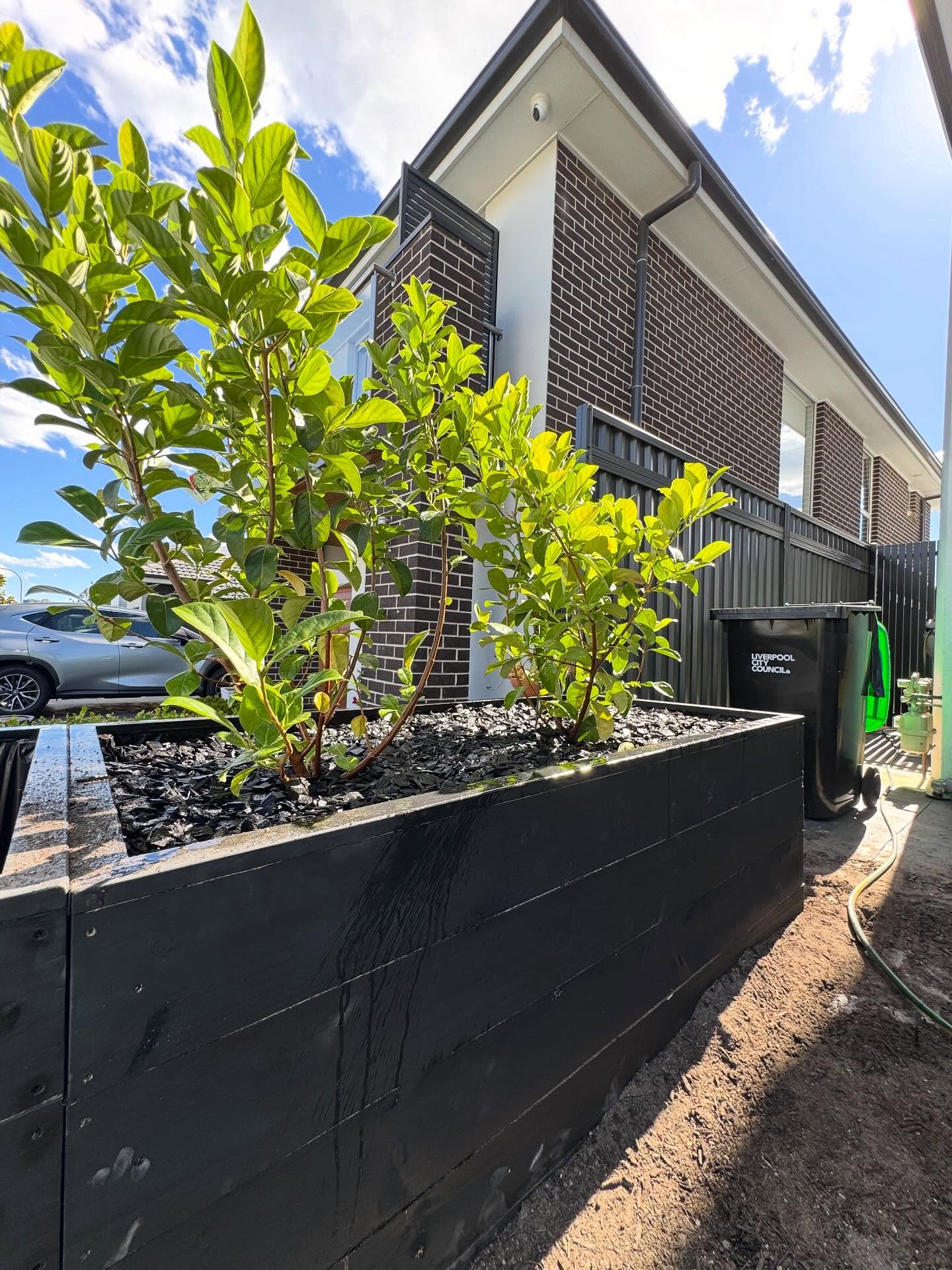 Neat garden edging